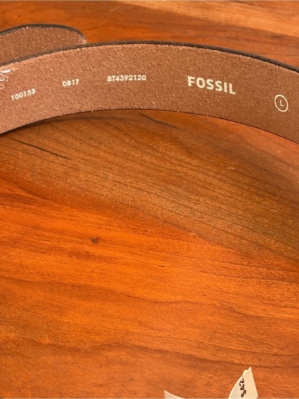 Fossil Belt Geo Colorblock Vanilla Size Large NWT